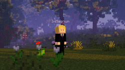 ImMagnum2.png