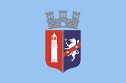 Flag of Tirana.png