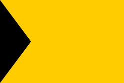 ChartownFlag.webp