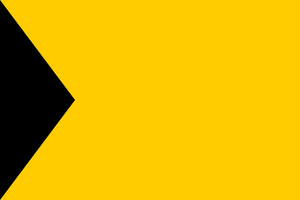 ChartownFlag.webp