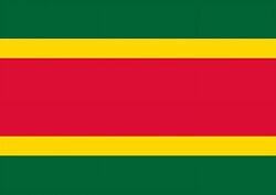 Algiers Flag EMC.jpg
