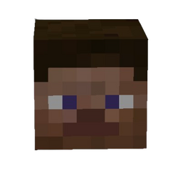 MCPlayerhead.png