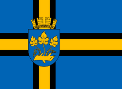 Stavanger Flag.png
