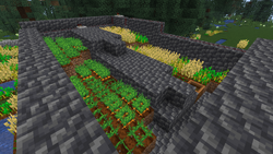 KalKashWheatFarm.webp