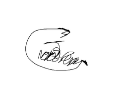 Naranciasignature1.png