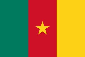2000px-Flag of Cameroon.svg.png