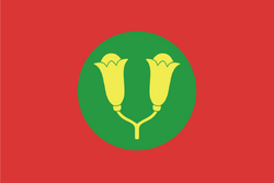 Zanzibar National Flag.png