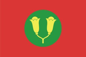Zanzibar National Flag.png