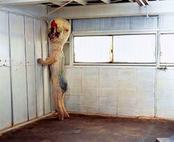 SCP-173.jpg