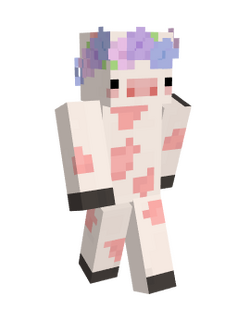AiySkin.png