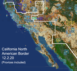Caliborder 2.png