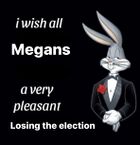 MegansPleasantLosingElectionsByBoss.jpg