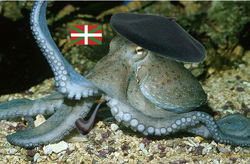 PULPO.png