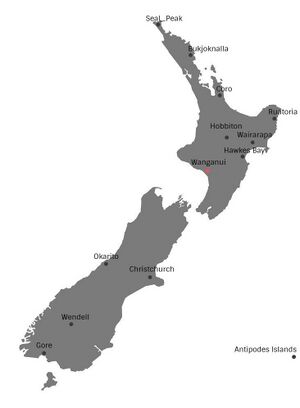 New-zealand-map-grey-vector-23601117 (1).jpg