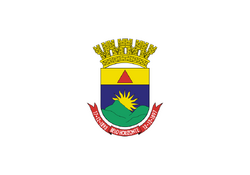 Bandeira de Belo Horizonte.png