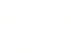 Blank.png