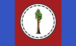 Flagforaminecraftserver.png