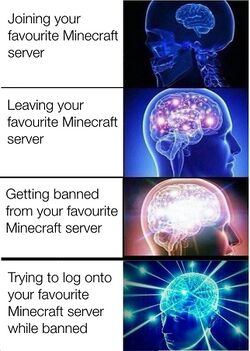 BrainExpansionMemeMC.jpg