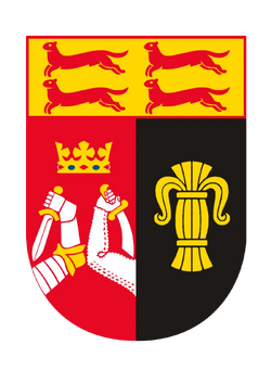 Coat of arms of Viipuri.webp