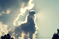 Llama cloud x3 by reinventlovee.jpg