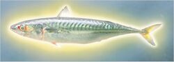 Holyfish.jpg
