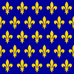 Flag of the kingdom of France.png
