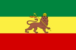 Flag o Addis Ababa .jpeg